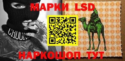 крисы Кингисепп