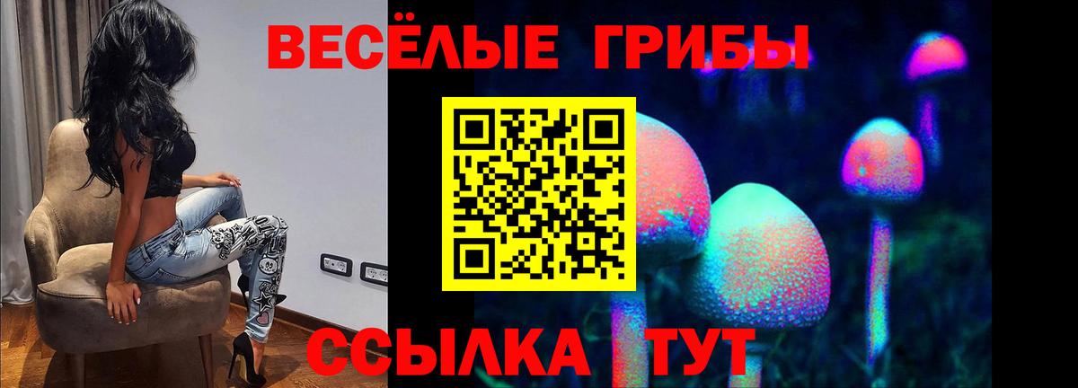 Галлюциногенные грибы ЛСД Краснодар