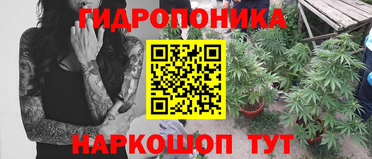 Бошки марихуана Amnesia Краснодар